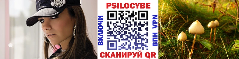 Купить где  Палласовка  Галлюциногенные грибы Magic Shrooms 